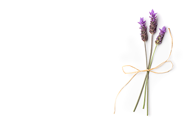 3 lavender flowers with a thin bow tied around them